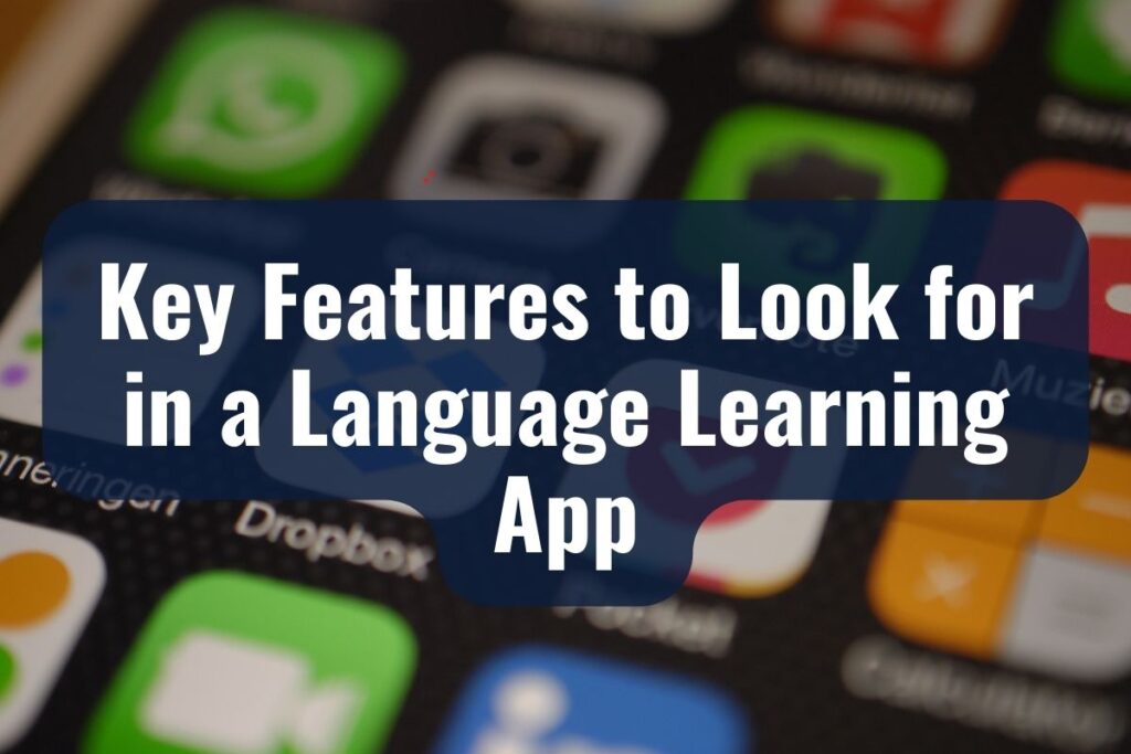 Key Features to Look for in a Language Learning App