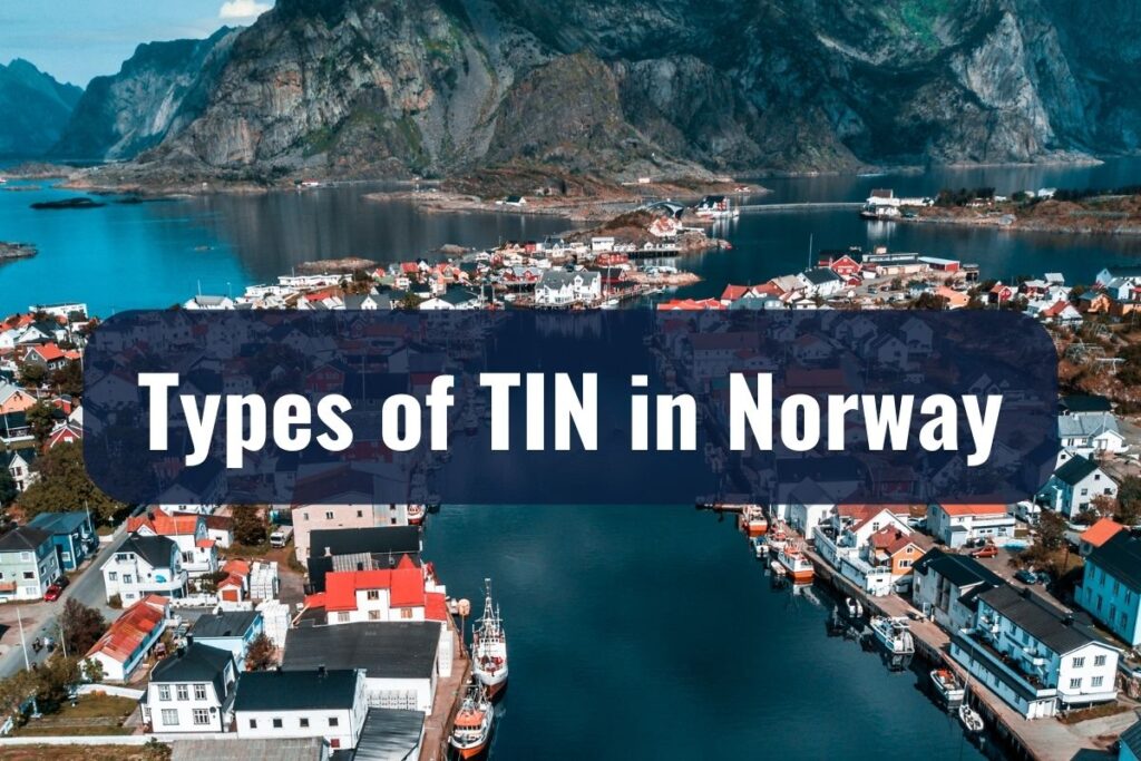 Types of TIN in Norway