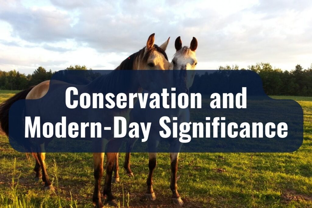 Conservation and Modern-Day Significance
