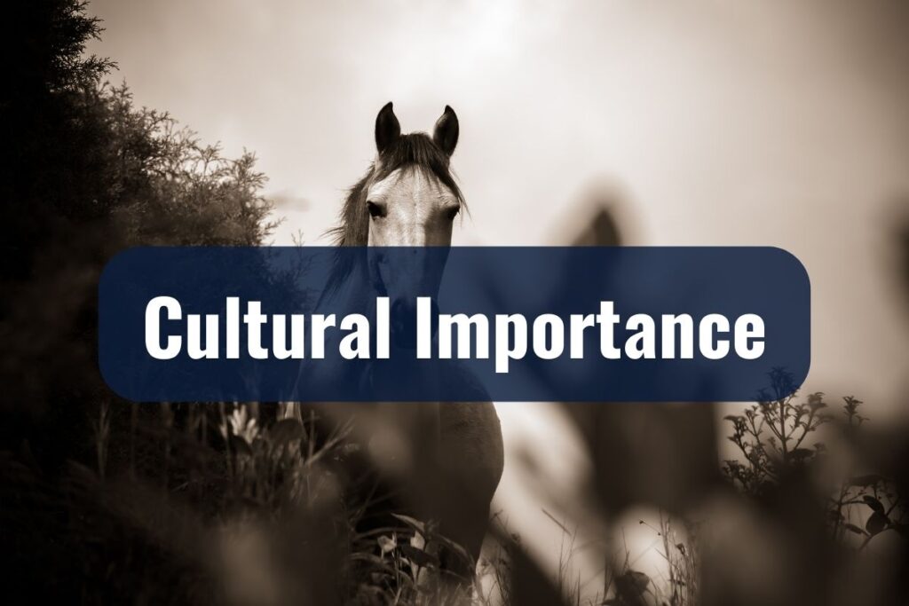 Cultural Importance