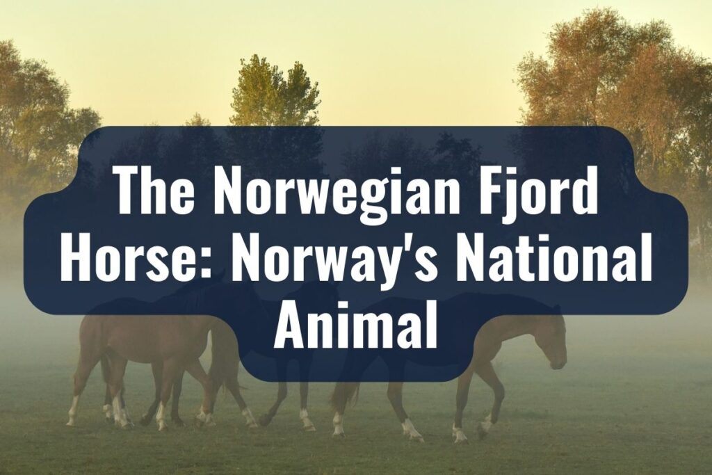 The Norwegian Fjord Horse: Norway's National Animal